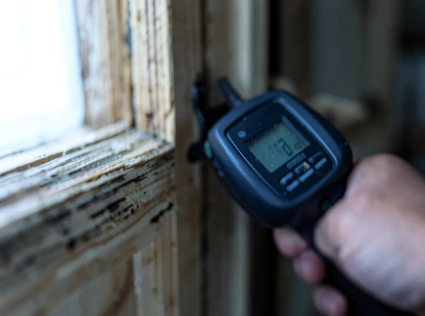 Moisture Inspection And Documentation in Hosmer, SD